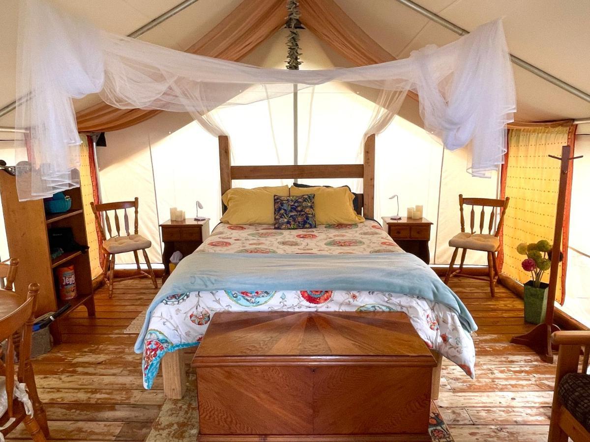 Hotel So Damn Lucky Glamping Ucluelet Exterior foto