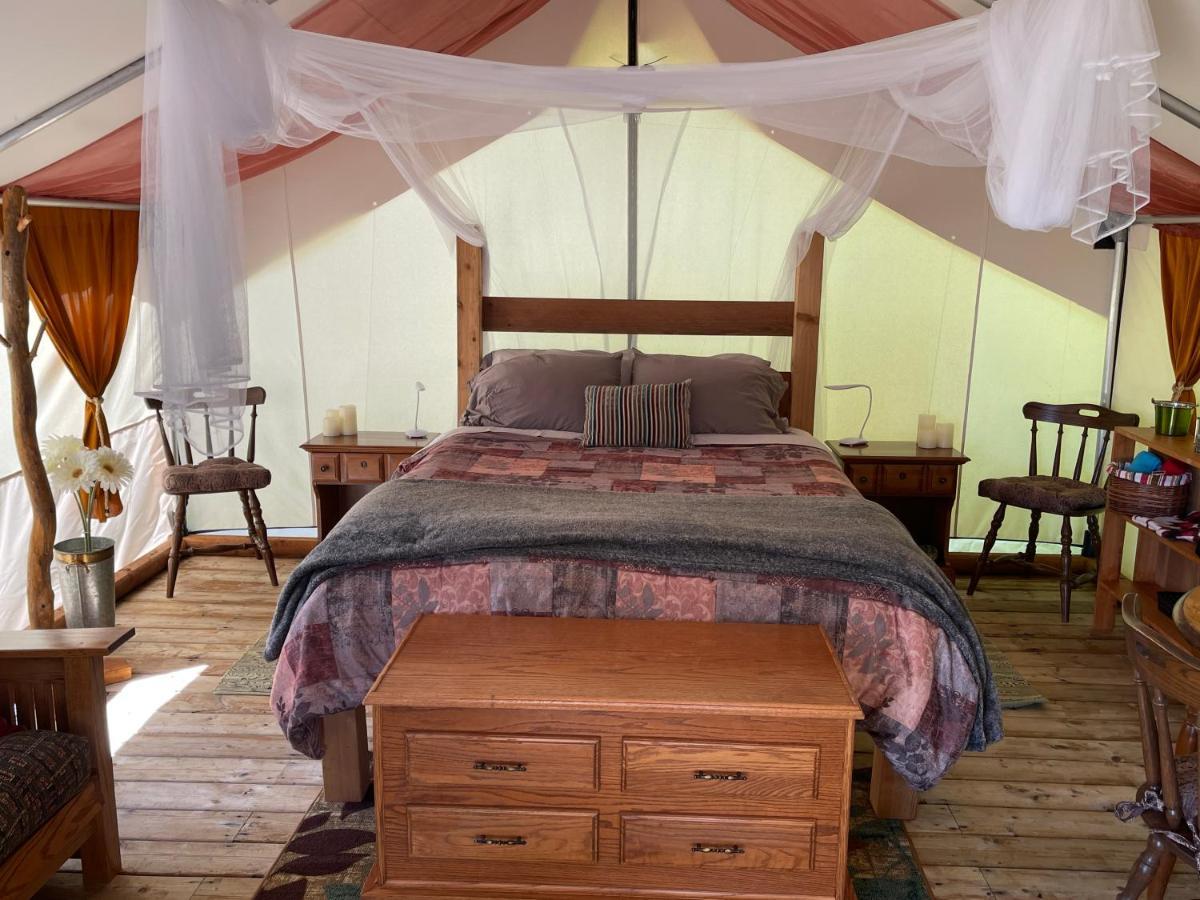 Hotel So Damn Lucky Glamping Ucluelet Exterior foto