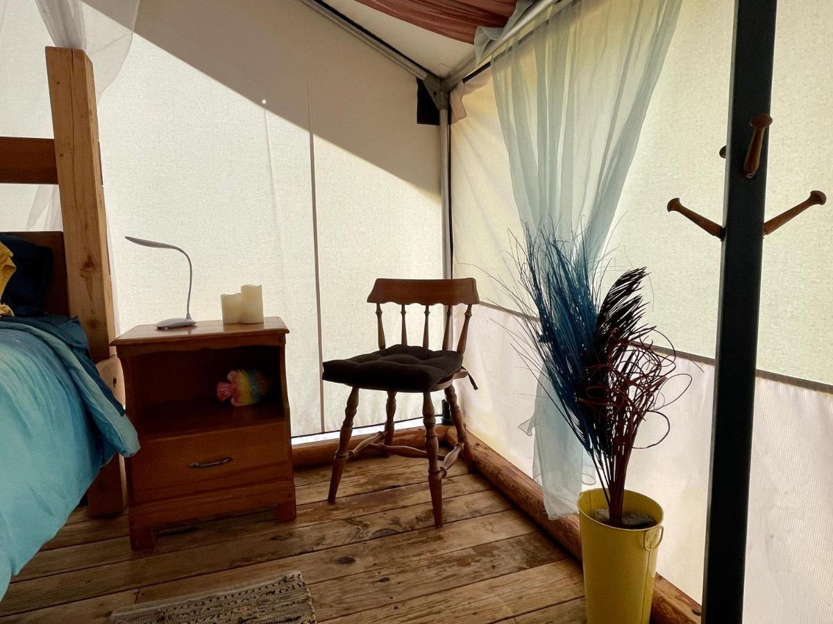 Hotel So Damn Lucky Glamping Ucluelet Exterior foto